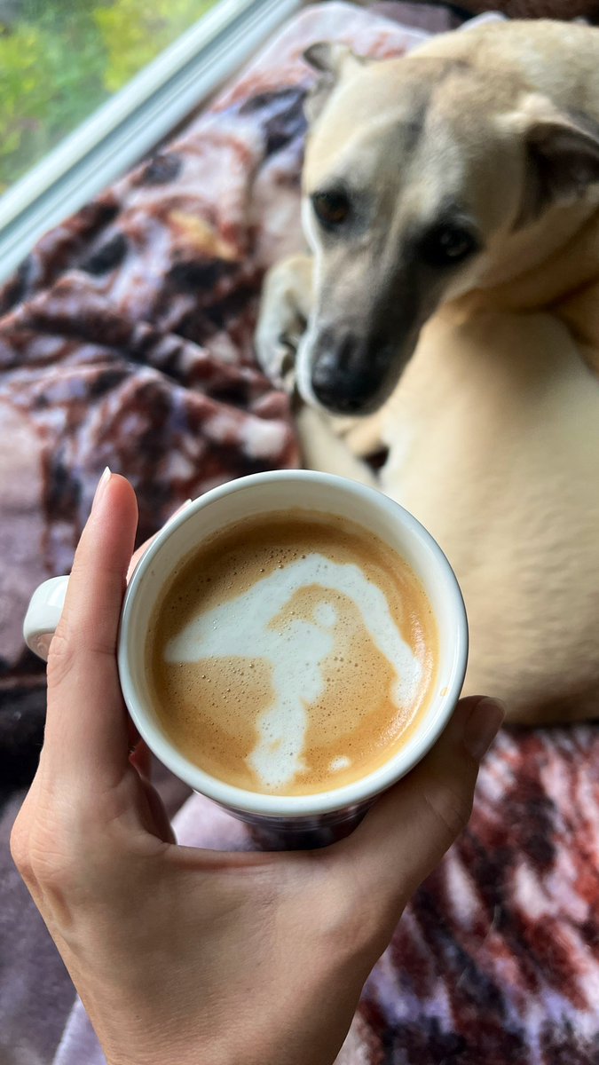 Liz Clayton Fuller tweet media