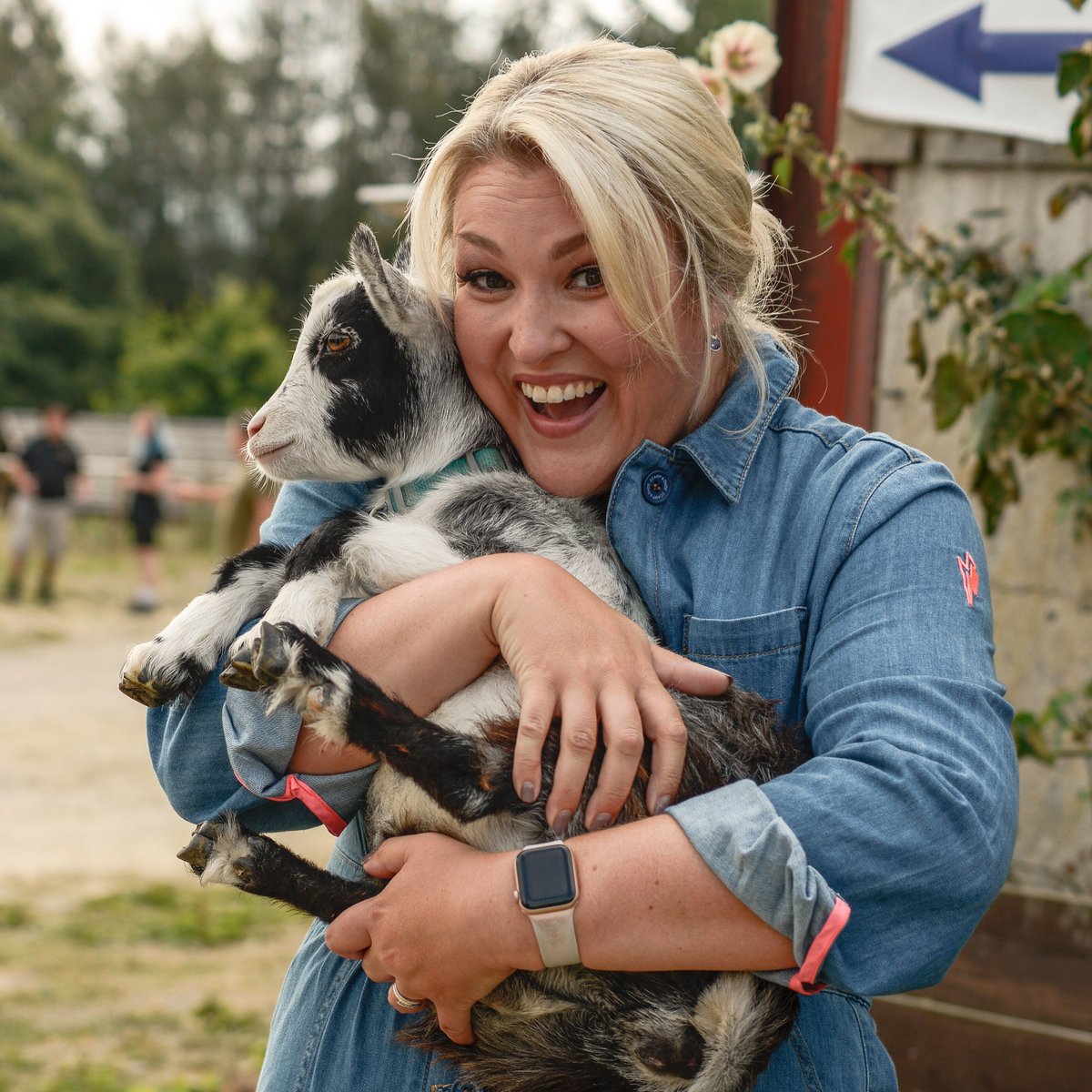 BBC Studios tweet media