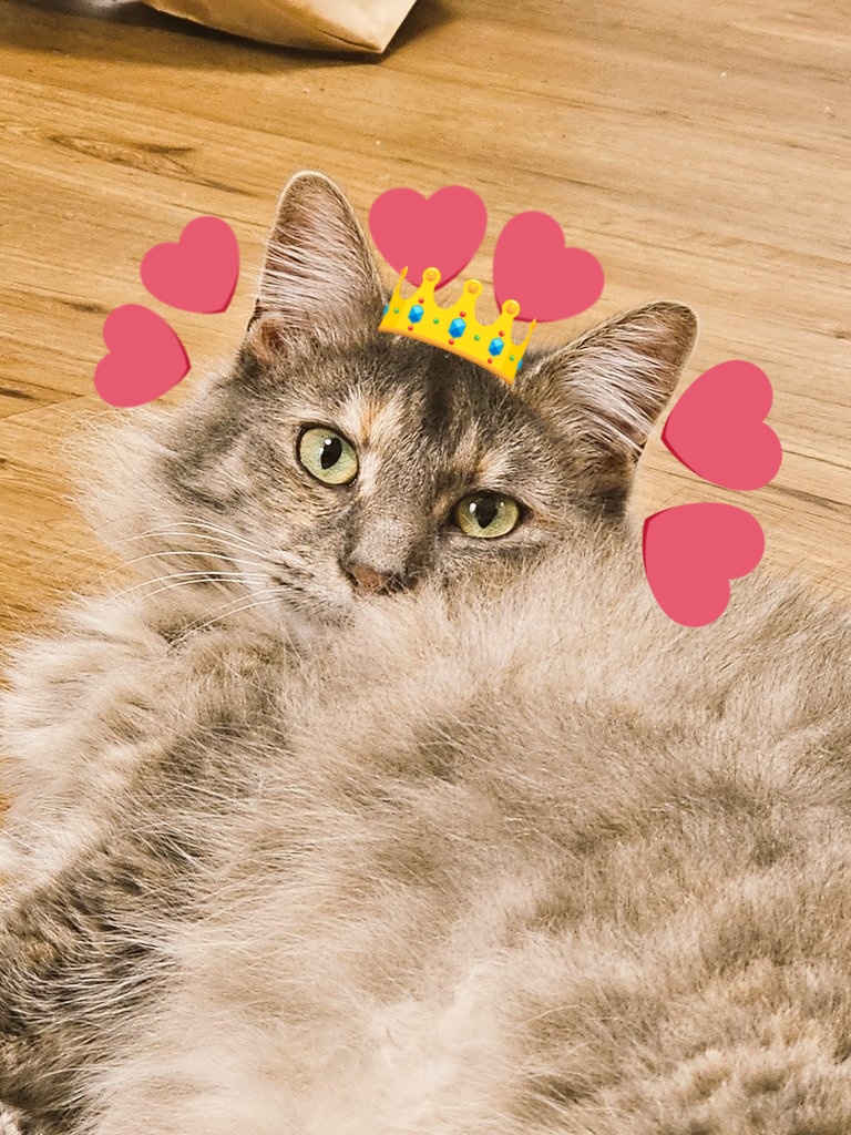 If love me again was 90s anime ✨️💗