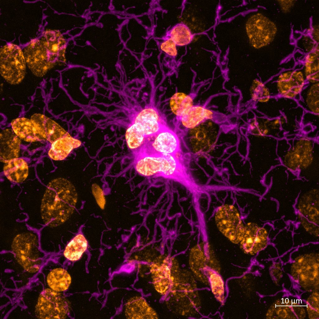 Danielle Beckman tweet media