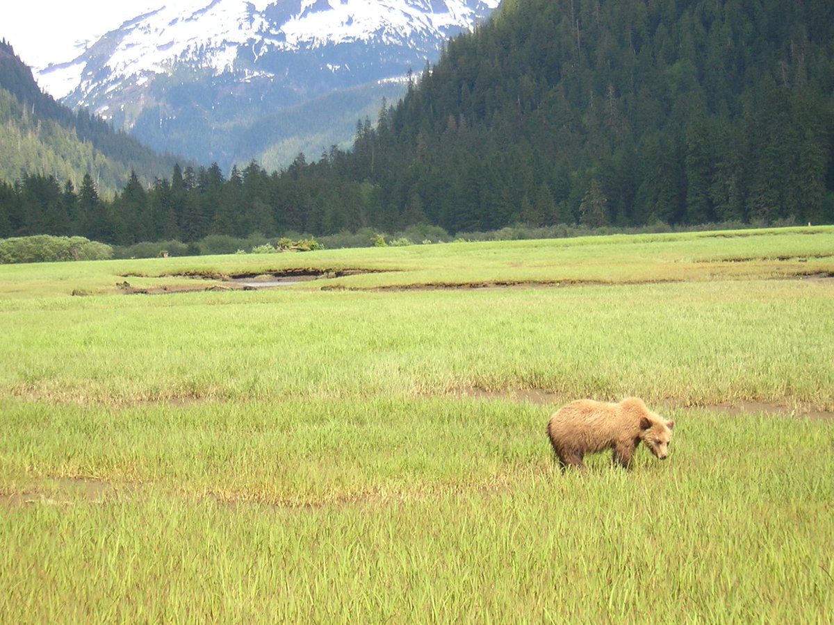 patrick. tweet media