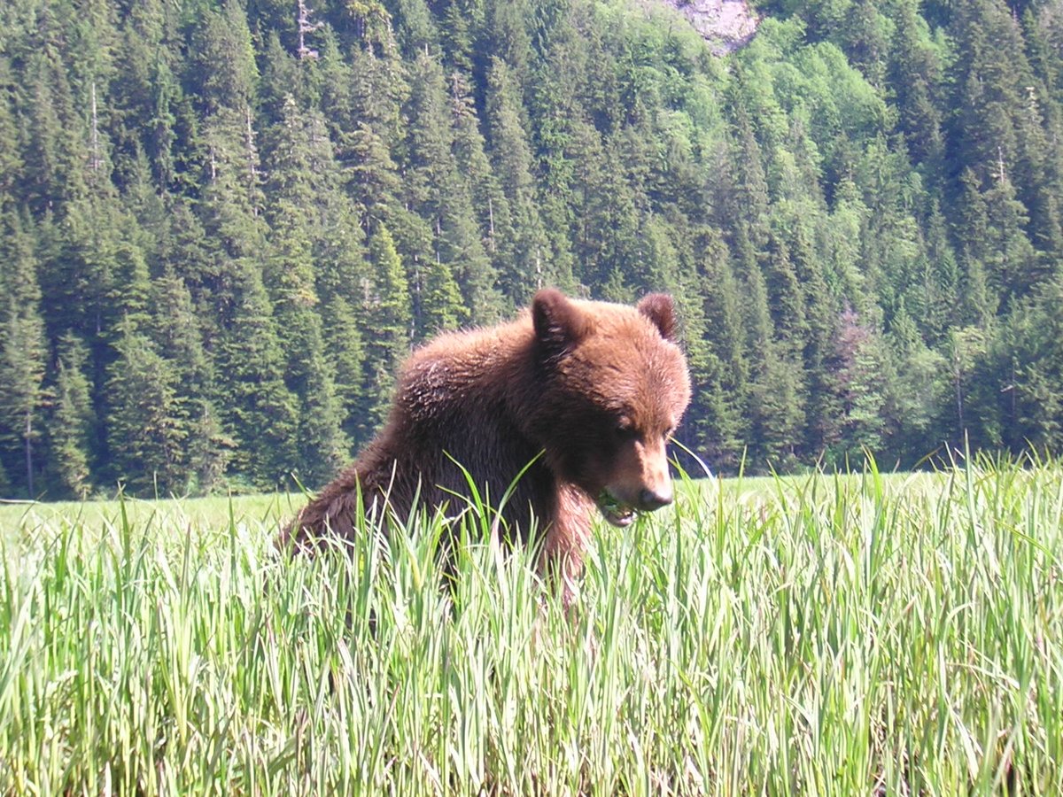 patrick. tweet media