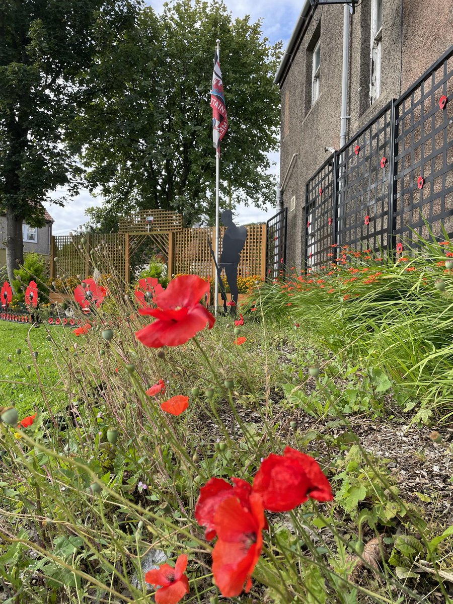 PaMemorial's tweet photo. Wonderful remembrance display in #Kennoway #Fife courtesy of @Ramzanstakeaway & Kennoway Community Shed.
Large poppy for each conflict, small poppy and brass name plate for each casualty, mural, gardens, poppies, silhouettes, benches - a great tribute! #WeWillRememberThem https://t.co/6eFLcjvgnv