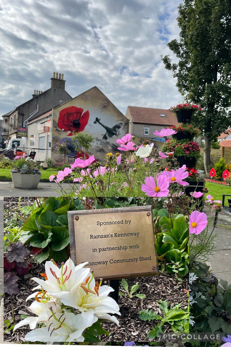 PaMemorial's tweet photo. Wonderful remembrance display in #Kennoway #Fife courtesy of @Ramzanstakeaway & Kennoway Community Shed.
Large poppy for each conflict, small poppy and brass name plate for each casualty, mural, gardens, poppies, silhouettes, benches - a great tribute! #WeWillRememberThem https://t.co/6eFLcjvgnv