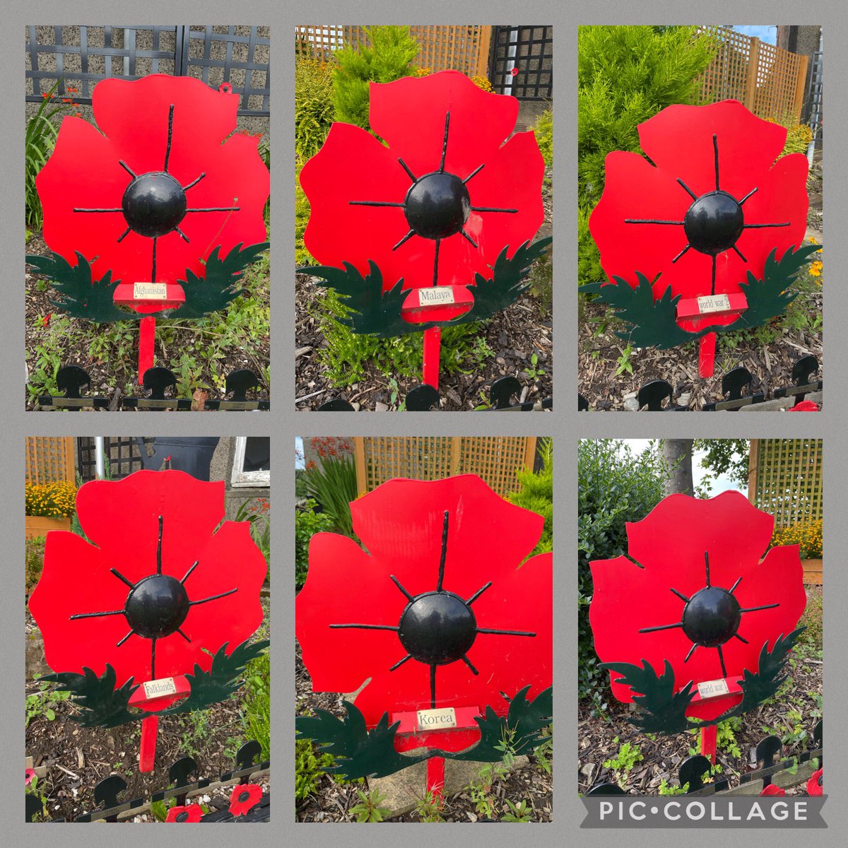 PaMemorial's tweet photo. Wonderful remembrance display in #Kennoway #Fife courtesy of @Ramzanstakeaway & Kennoway Community Shed.
Large poppy for each conflict, small poppy and brass name plate for each casualty, mural, gardens, poppies, silhouettes, benches - a great tribute! #WeWillRememberThem https://t.co/6eFLcjvgnv