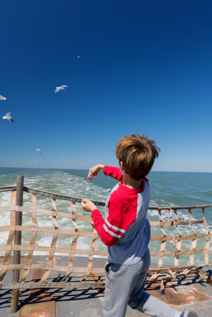ocracokevillage's tweet photo. The magic begins on the ferry to Ocracoke ✨
Be sure to check out the ferry schedule here while planning your visit👉️ https://t.co/ooQDJZBnwh
#visitocracokenc #visitnc #ocracoke #outerbanks #obx #nc #northcaroliina #island #travel #ncdot #ferrry https://t.co/tLupI83QTa