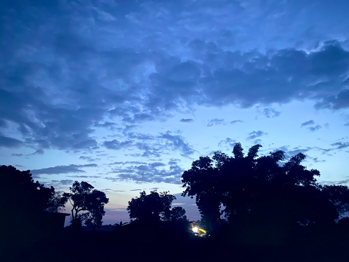 ppandeyenv's tweet photo. Captured the breathtaking beauty of evening clouds in my village! Nature's artwork at its finest. #EveningClouds #NaturePhotography #VillageLife 🌥️ #photograghy #NatureBeauty https://t.co/fYroZlxdFh