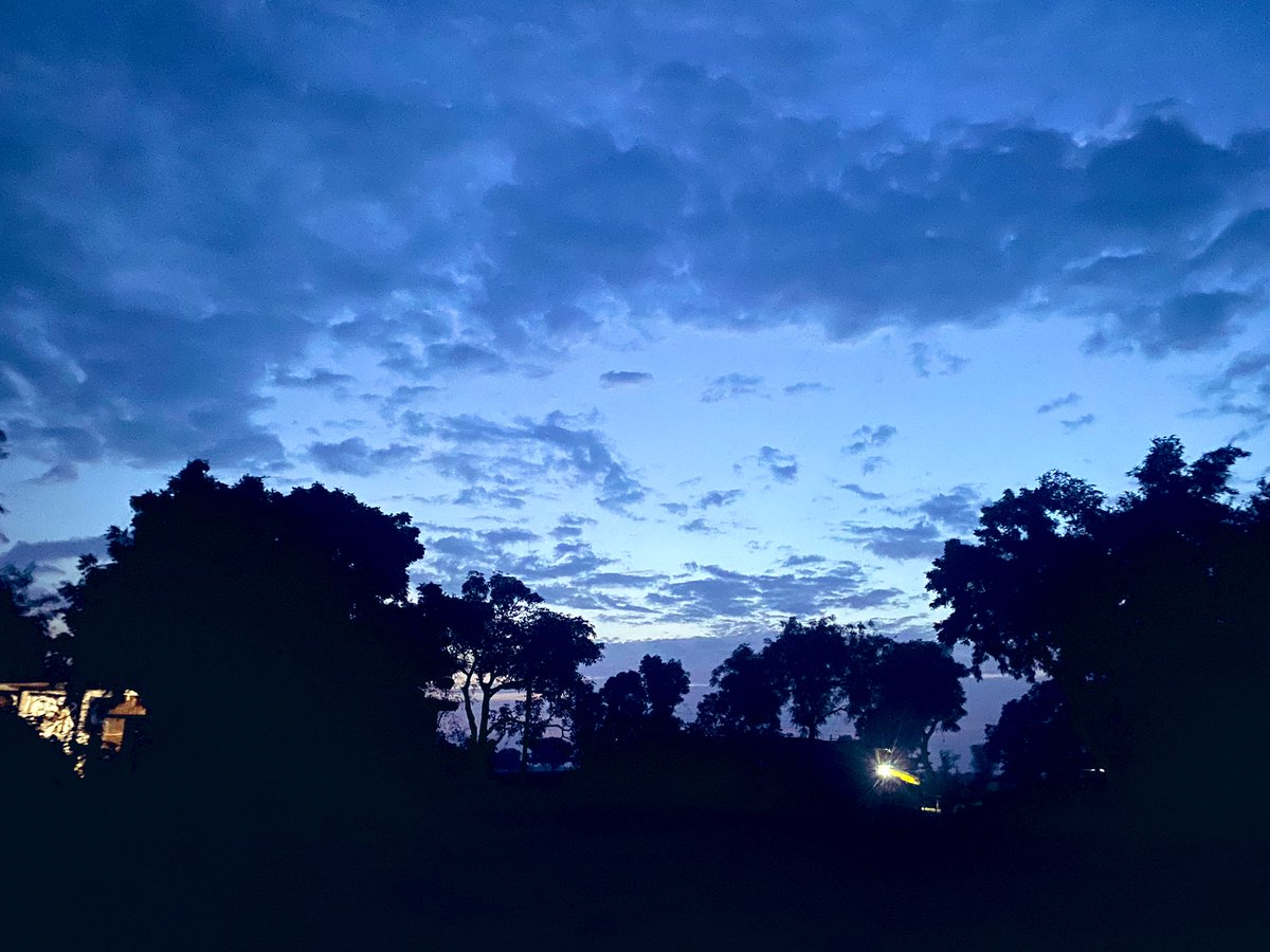 ppandeyenv's tweet photo. Captured the breathtaking beauty of evening clouds in my village! Nature's artwork at its finest. #EveningClouds #NaturePhotography #VillageLife 🌥️ #photograghy #NatureBeauty https://t.co/fYroZlxdFh