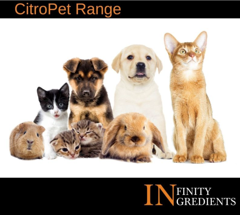 The CitroPet range from Citróleo Group has been specifically developed for animals! 🐕🐩🐈🐇🐶🐱