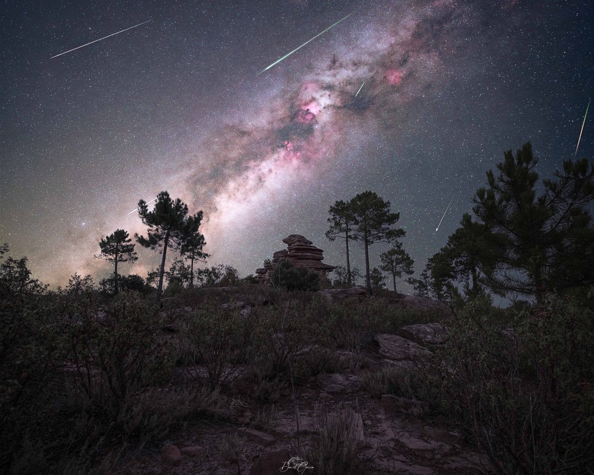 💫 Perseidas 2023💫