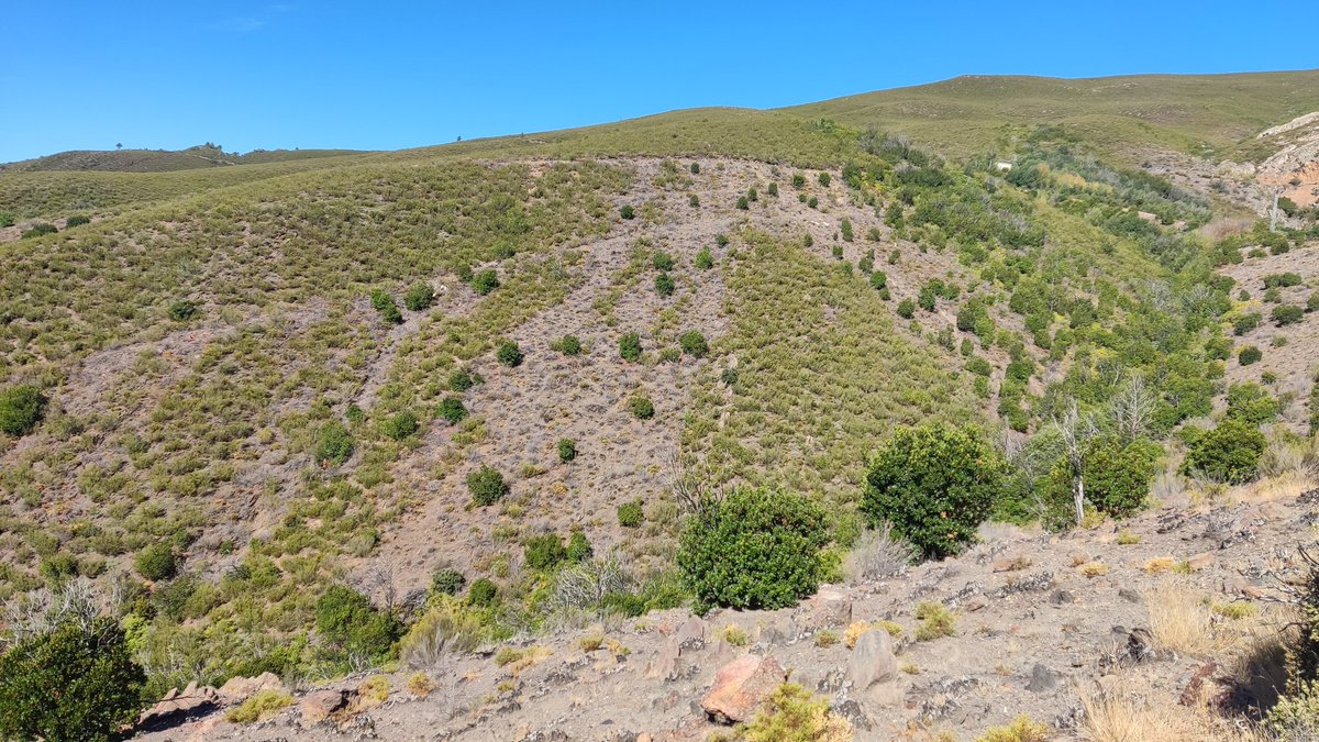 MCantabricos's tweet photo. Paisaje del fuego. Bárcena de la Abadía, El Bierzo. https://t.co/zPLVqr17iG