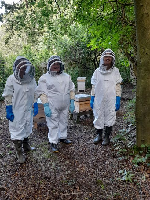 Bexams Bexams tweet media