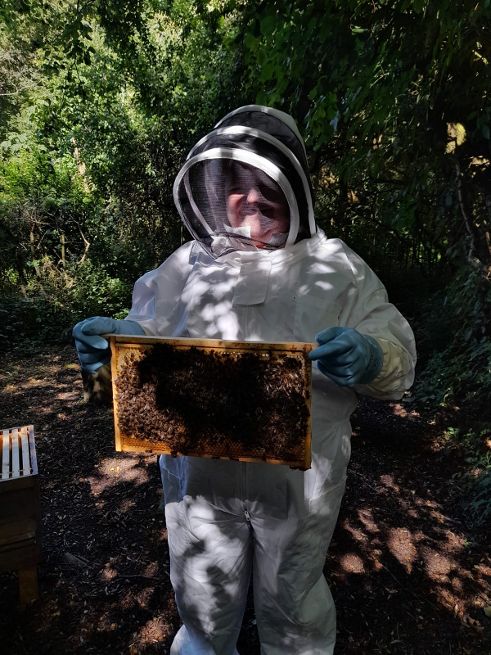 Bexams Bexams tweet media