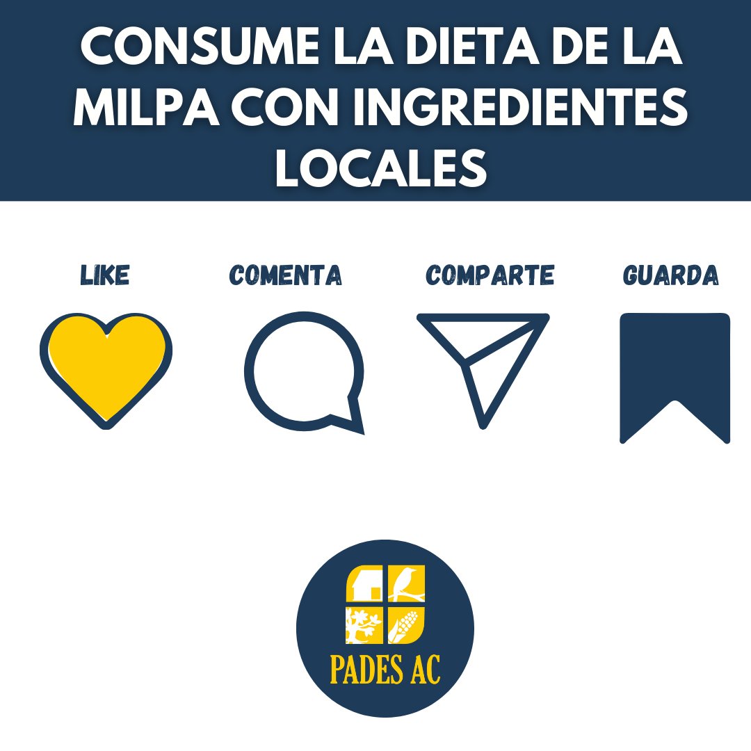 PadesAc's tweet photo. Lunes de frijol con puerco
¿Sabías que sus ingredientes provienen de la milpa? https://t.co/8ThwiXO0Z8