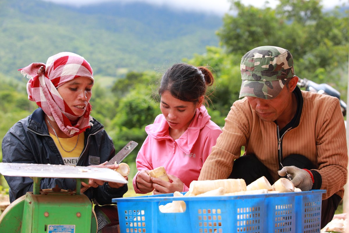 FSC_IC's tweet photo. @FSC_APAC Read to learn more here: https://t.co/F6MZbB4eg6
#ForestsForAllForever #ForestValues #NTFP @FSC_APAC
//Photos by FSC / Phan Tan Lam https://t.co/3E3ytJACrq