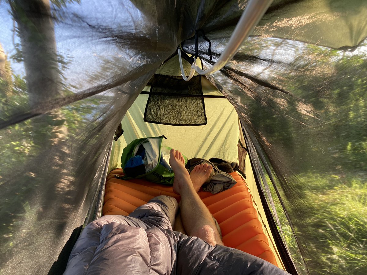 Cameron Martindell tweet media