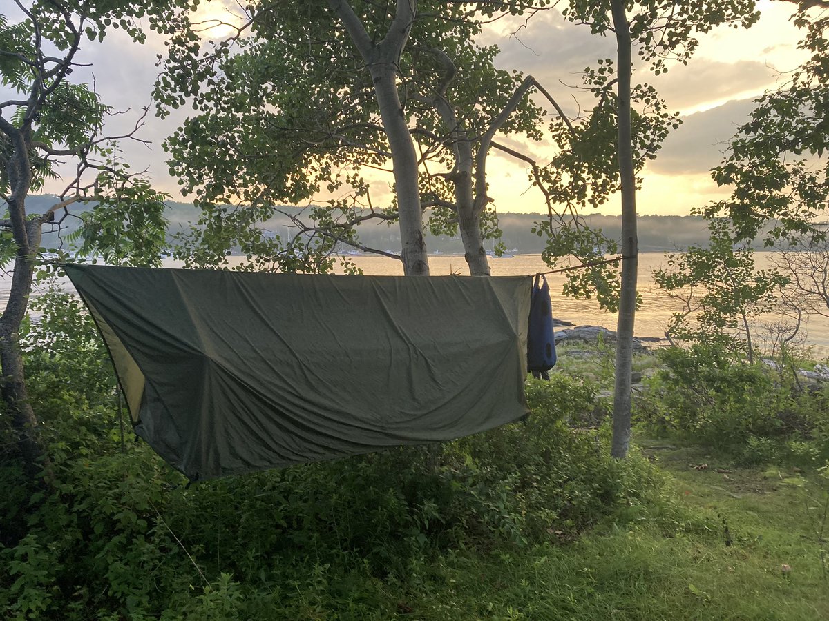 Cameron Martindell tweet media