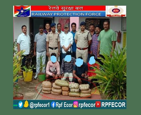 @RPF_INDIA RPF/CIB/Waltair along with Dog squad/Koraput arrested 04 Ganja peddlers with 31.05 Kgs of Ganja valued Rs.3,15,000/- from train No.08551 Exp near Machkund station on 12thAugust 2023. GRPS/Koraput registered a case under NDPS Act against them.
#OperationNarcos