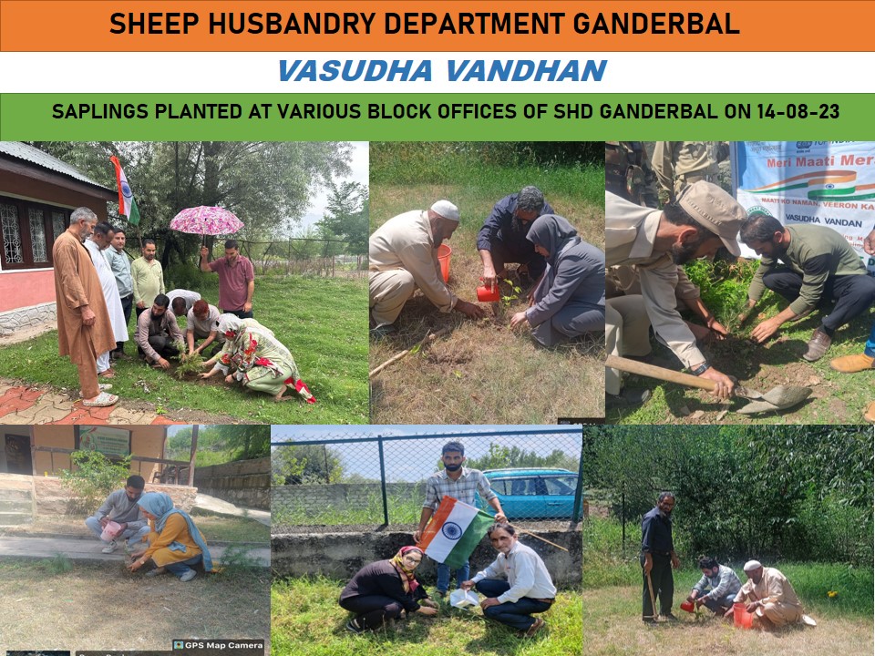 DSHOGanderbal's tweet photo. #AzadiKaAmritMahotsav 
#IndependenceDay2023 
SHD Ganderbal participated in the #VasudhaVandan campaign (Sapling plantation drive) with utmost zeal today on 14-08-2023.
@dcganderbal 
@DirSHDK 
@CentreGanderbal 
@diprjk https://t.co/SUSEJTwt3i