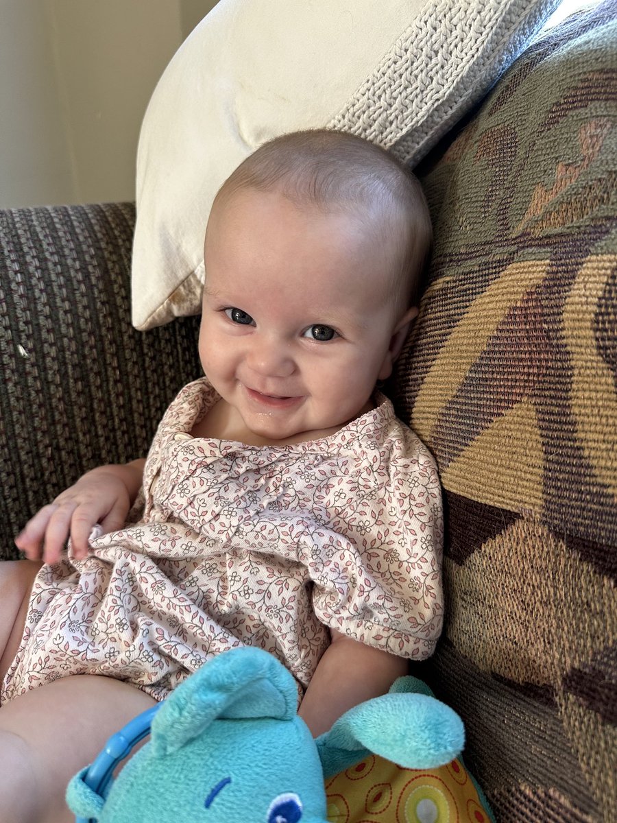 Stina Sieg tweet media