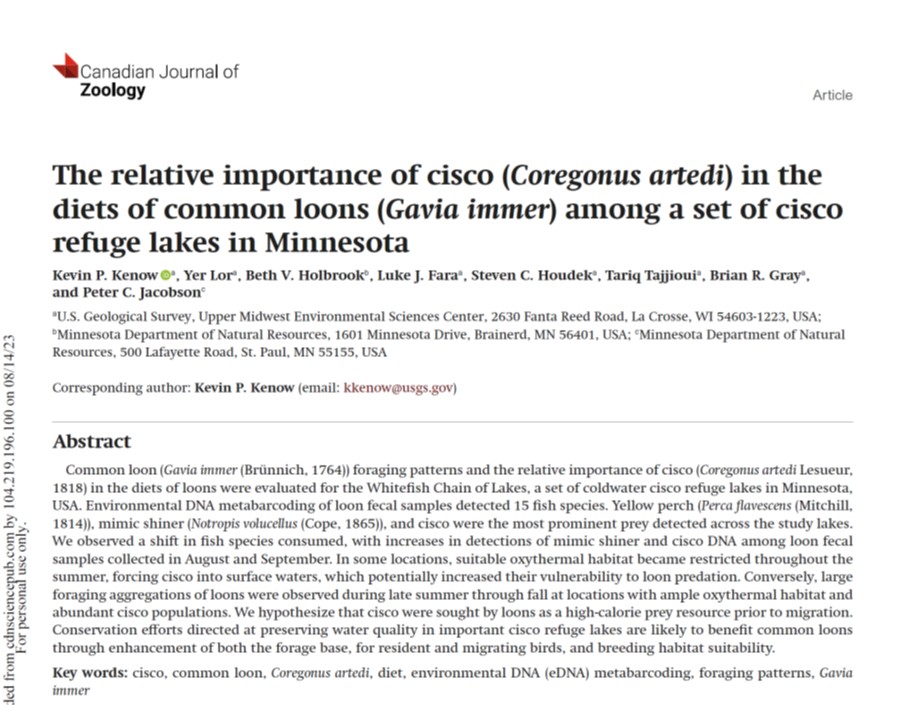 Around this time in August, we noticed large aggregations of loons on the cisco lakes we were sampling. Turns out they were loading up on the energy-rich cisco in preparation for the long migration to the Gulf of Mexico. Great collaboration with USGS.
cdnsciencepub.com/doi/full/10.11…