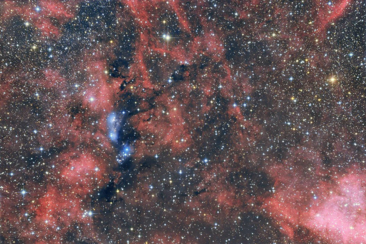 xyzsxyzs's tweet photo. 2023年 8月 10日&11日
岐阜県白川町と本巣市にて
はくちょう座 NGC6914付近
かなり赤が強い写真を見るんですが・・・
何か違うなーと(汗)
なので控えめです(^^
間違えてF4コマコレを持って行ってしまい
左端が盛大にピンボケ・・・
勿体ないのでそのままです(^^
#NGC6914 #はくちょう座 https://t.co/mjbcMruOeR
