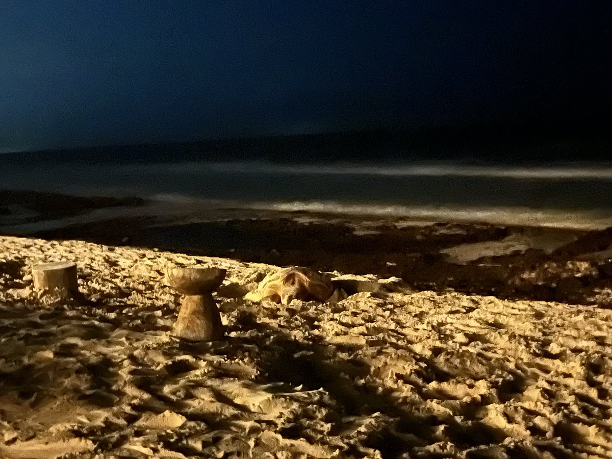 Sam Johnson tweet media