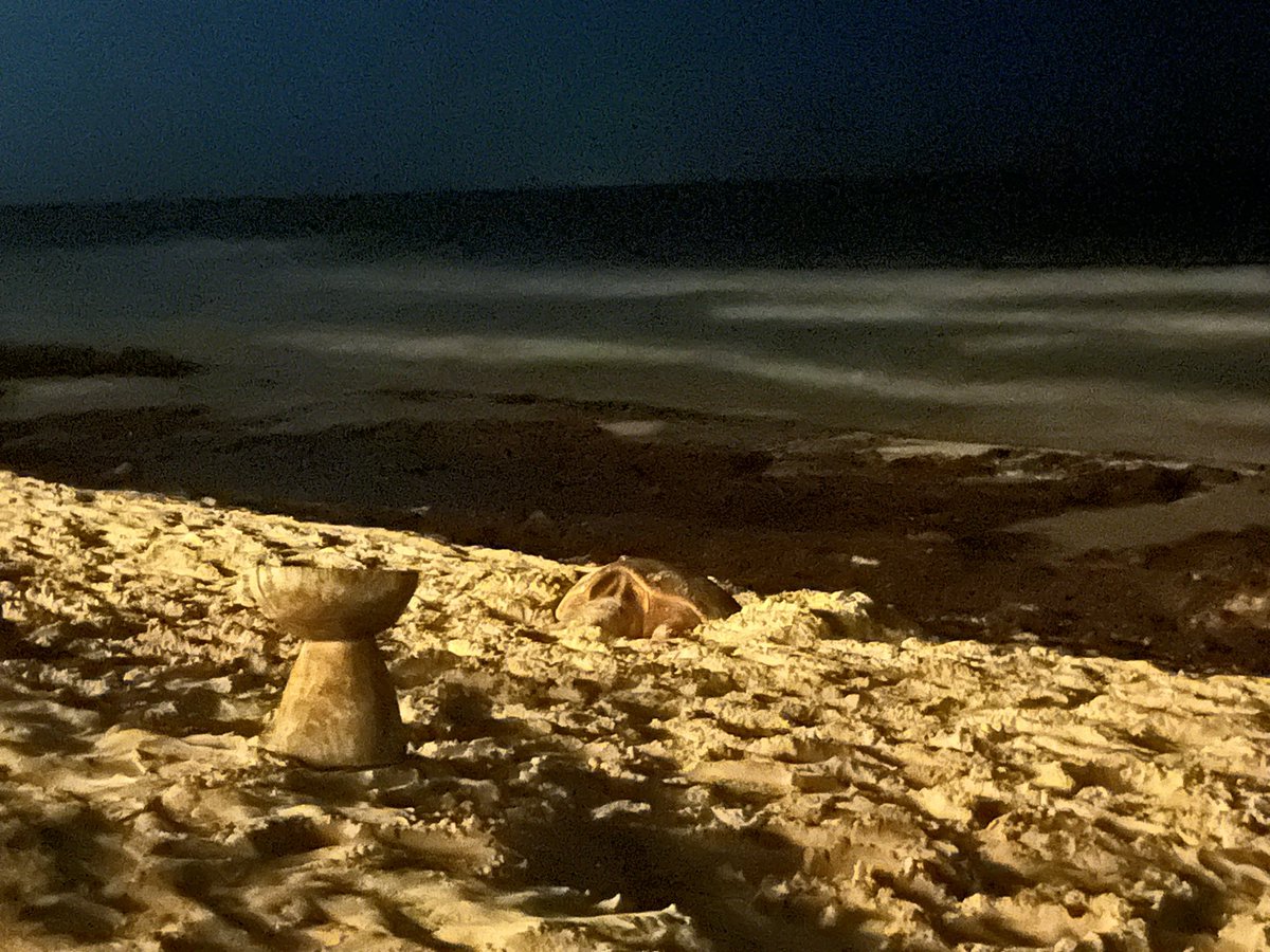 Sam Johnson tweet media