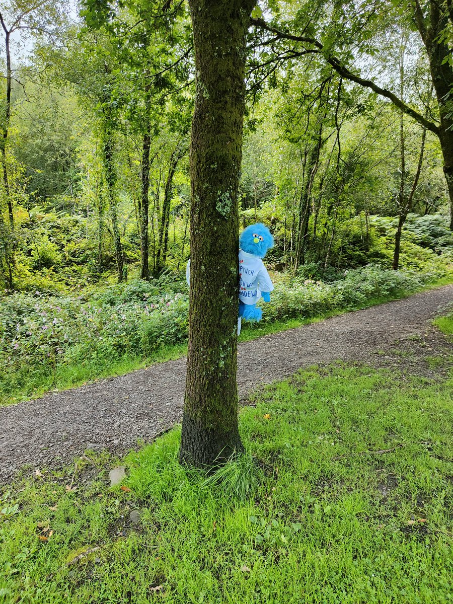 Where in Barry Sidings country park could LX be hiding? And I wonder what safety information they have for us? 👀 come find us to find out. @NetworkRailWAL @BTPPontypridd @tfwrail