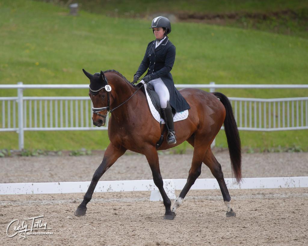 HM_eventing's tweet photo. To be completely honest @EQyss is the ONLY thing in our wash stall, and we have gotten so many compliments since stocking up!  
 
📸 Cealy Tetley Photography

#groomedbyEQyss #EQyss #EQyssgroomingproducts #equestrian #eventer #horse #TeamCheckers #HMEventing https://t.co/cIH7pLIkmA