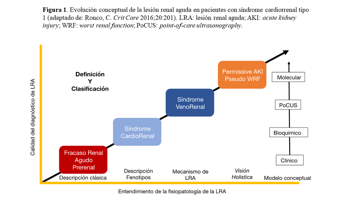 nefroaldia's tweet photo. ⚠️Nefropatía Congestiva🫘🫀

 "SCR tipo X"..🫷  ¿aportamos algo más?

👇
💥PV Central 
💥Flujo Tubular
💥Presión hidrostática GM
💥Resistencia diurética
💥Reabsorción proximal
💥Biomarcadores
💥 #VEXUS

👉 https://t.co/oNqZbNH98W

🤓: @Tubulocentric @beaff26 @rdelaespriella https://t.co/S2cApWzXz5