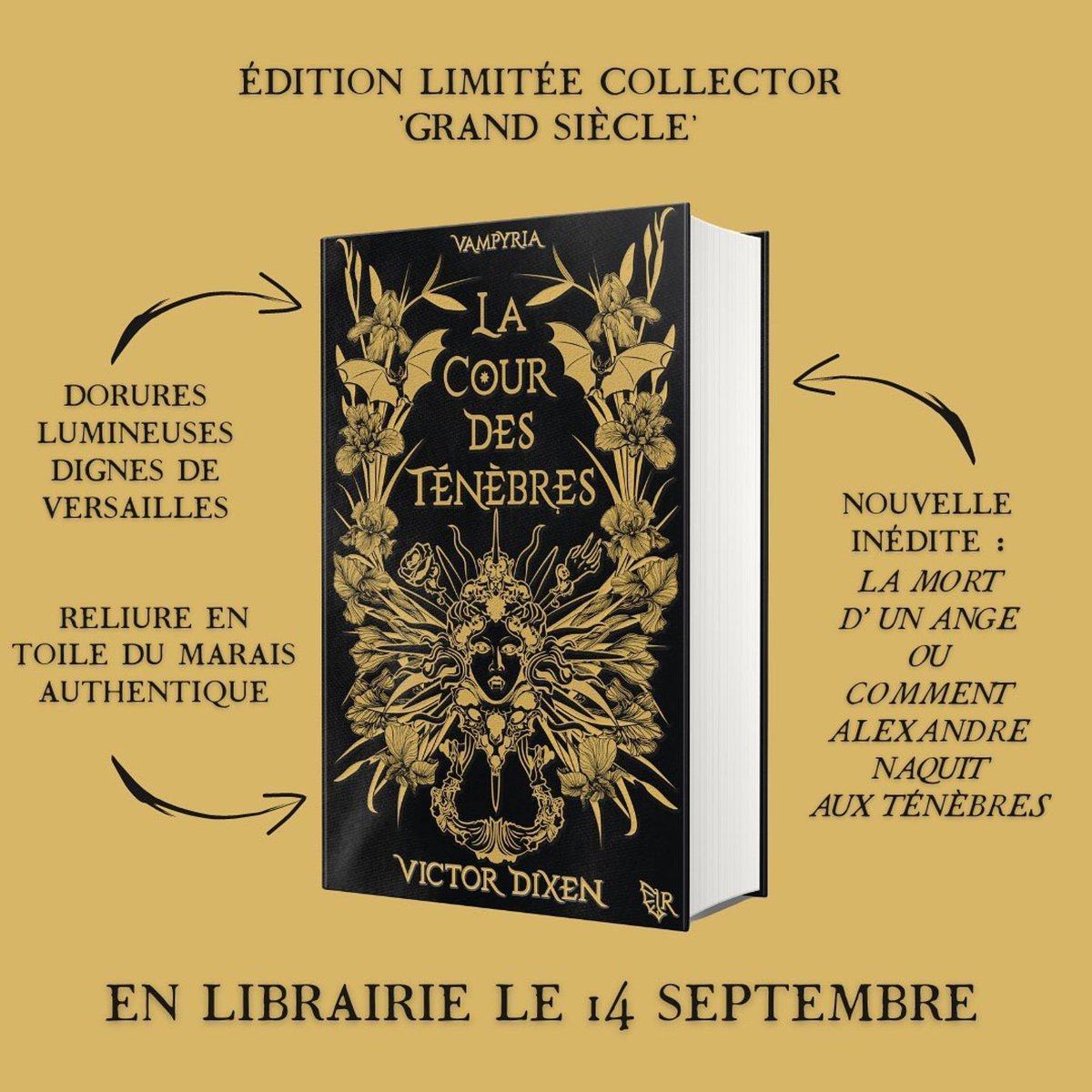 VictorDixen's tweet photo. L’édition limitée collector Grand Siècle de « LA COUR DES TÉNÈBRES », premier tome de la trilogie VAMPYRIA ! Attention les yeux… 🤩
.
#CoverReveal #Vampyria #LaCourDesTenebres #VampyriaEditionGrandSiecle #Versailles #LouisXIV #darkfantasy #victordixen #collectionr https://t.co/UAjqS5d72q