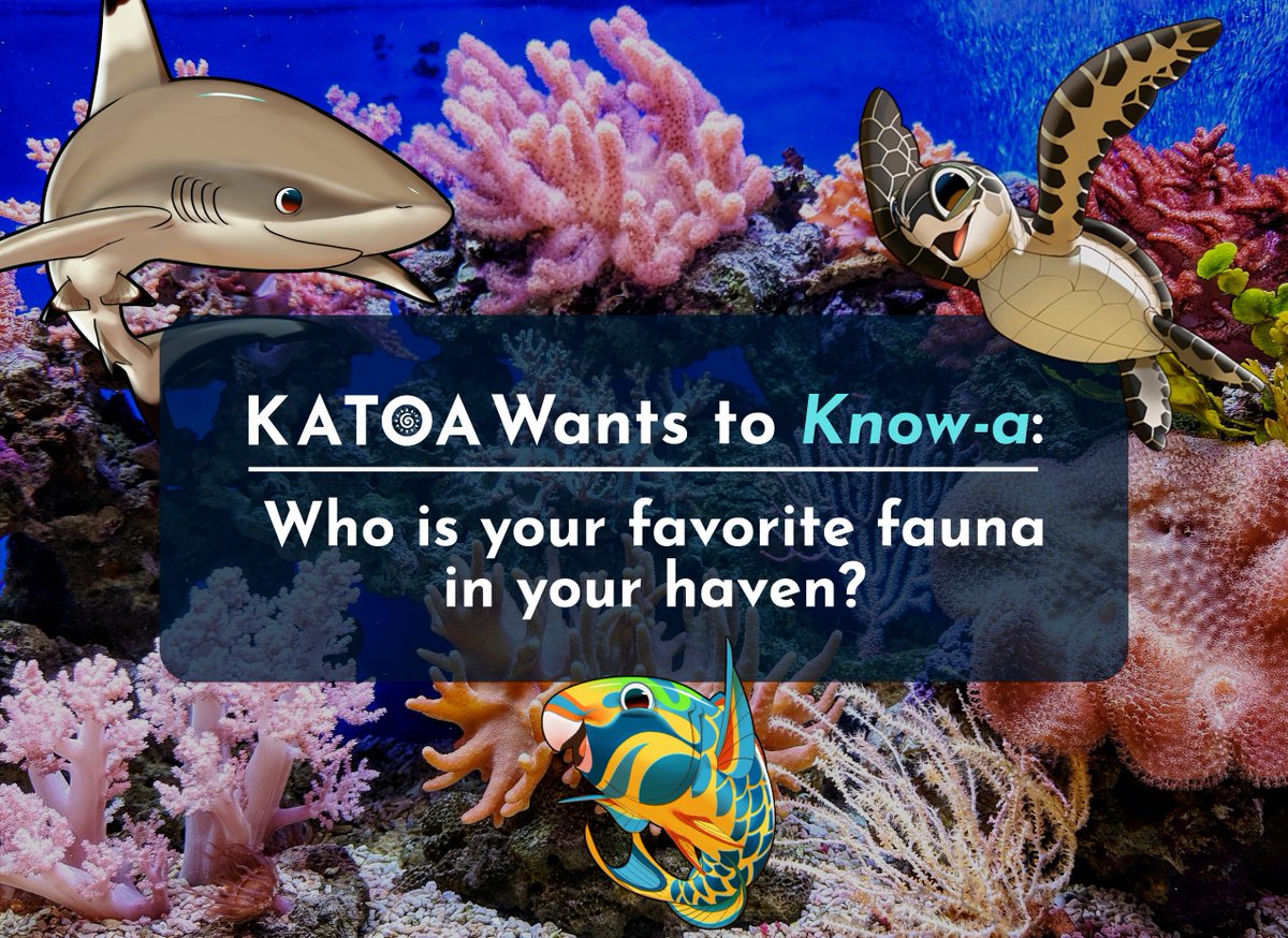 PlayKatoa's tweet photo. Each fauna has a unique AI, so every single one is special! 🐬🐠🐢  

Who is your favourite? 🥰 

 Tag a friend that NEEDS to download KATOA in the comments! 🤝 https://t.co/0GEsbM3UxZ