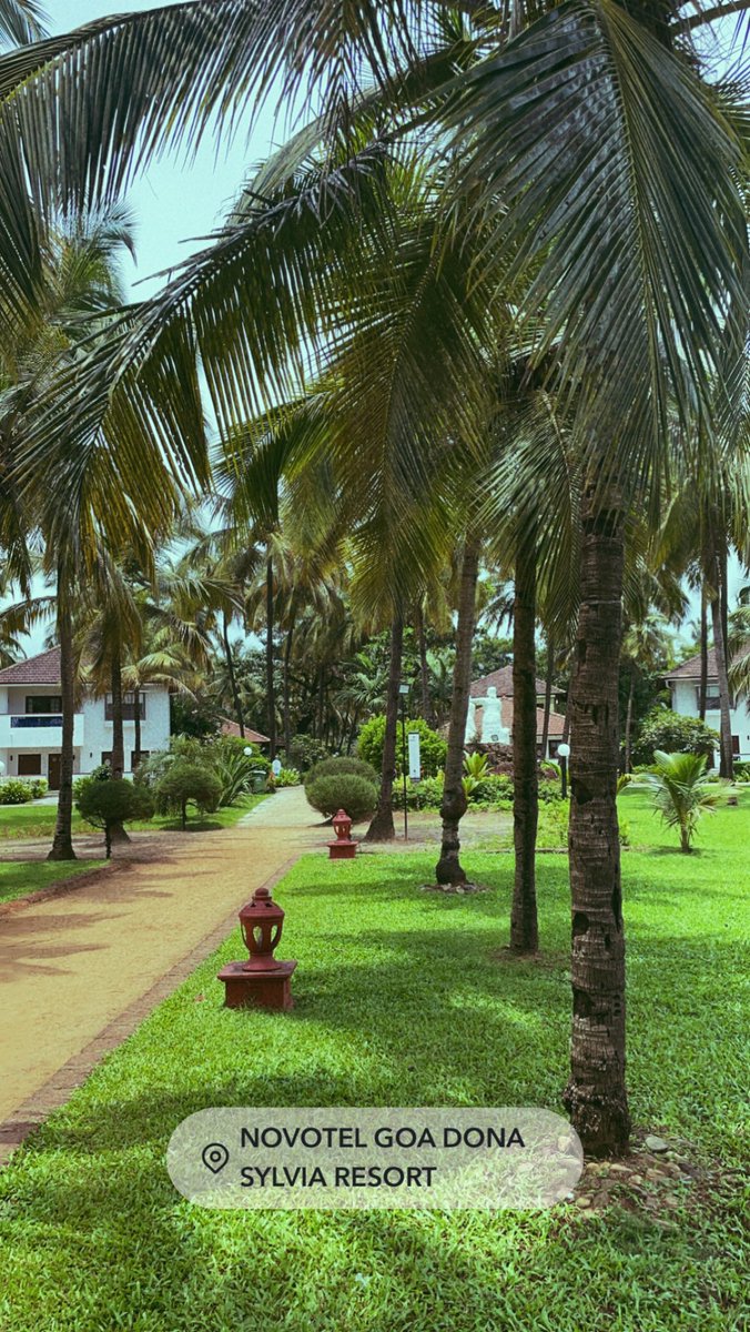 xBingChillinx's tweet photo. Day 3 for talks at #Web3ConfGoa | This conference is being inspirational in many ways. | Last photo is just goa being goa!π΄ποΈ https://t.co/WYxjKTMlk3