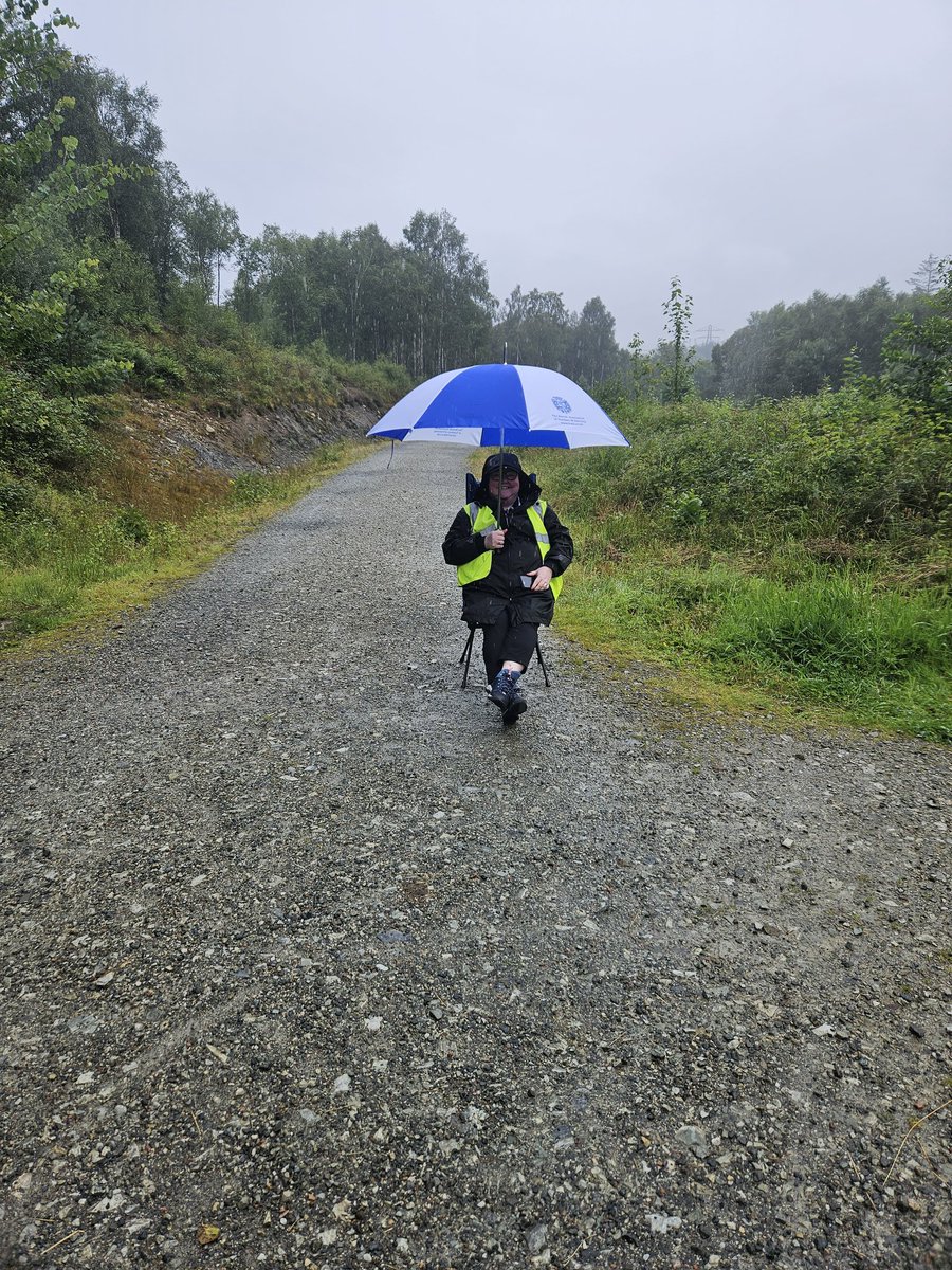 Simon Gold tweet media