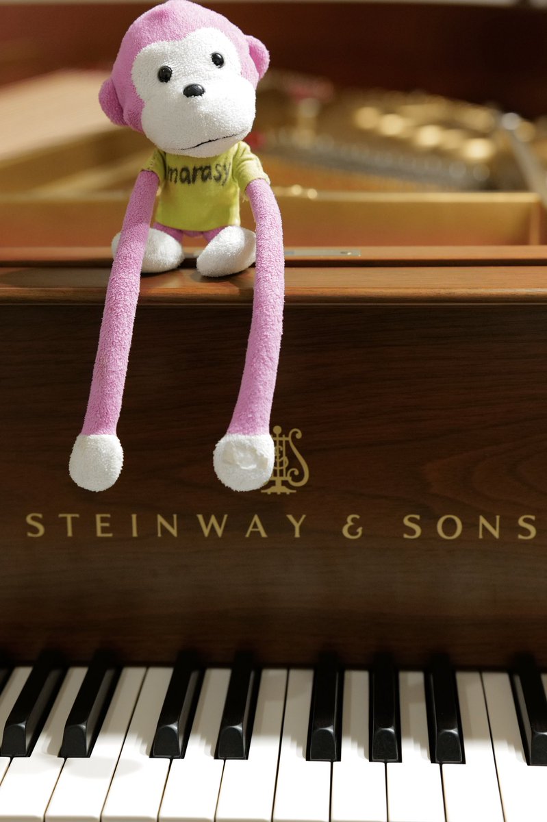 新しい📷でサルを撮った