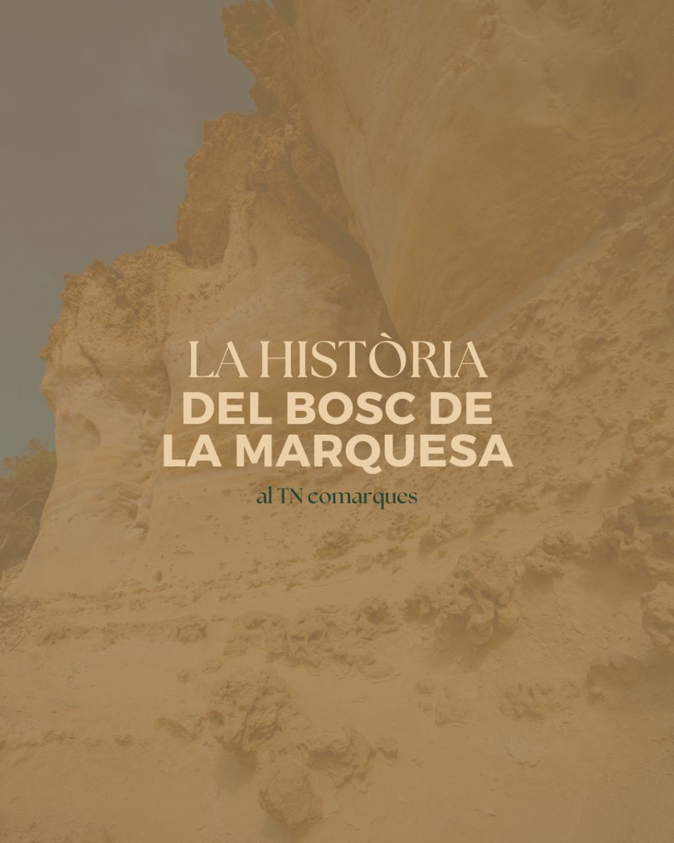 Fundación Bosc de la Marquesa (@boscmarquesa) on Twitter photo Descobreix la història viva del Bosc de la Marquesa explicada pel net de Caridad Barraquer al reportatge de Tv3!
🔗 Et deixem el link ccma.cat/tv3/alacarta/t…
#fundacionboscdelamarquesa #boscdelamarquesa #boscmarquesa #tarragona #fundacion #mar #repotaje #reportatge Descobreix la història viva del Bosc de la Marquesa explicada pel net de Caridad Barraquer al reportatge de Tv3!
🔗 Et deixem el link ccma.cat/tv3/alacarta/t…
#fundacionboscdelamarquesa #boscdelamarquesa #boscmarquesa #tarragona #fundacion #mar #repotaje #reportatge