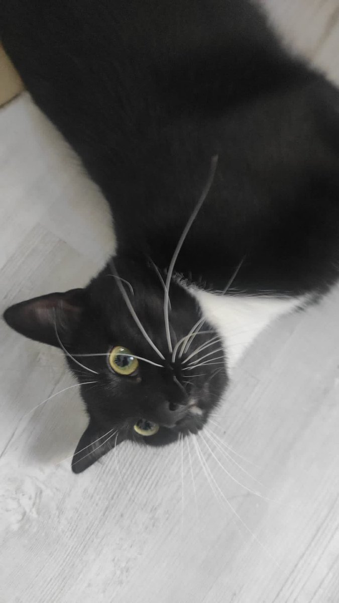 Geburtstagskind🥰🥰🥰