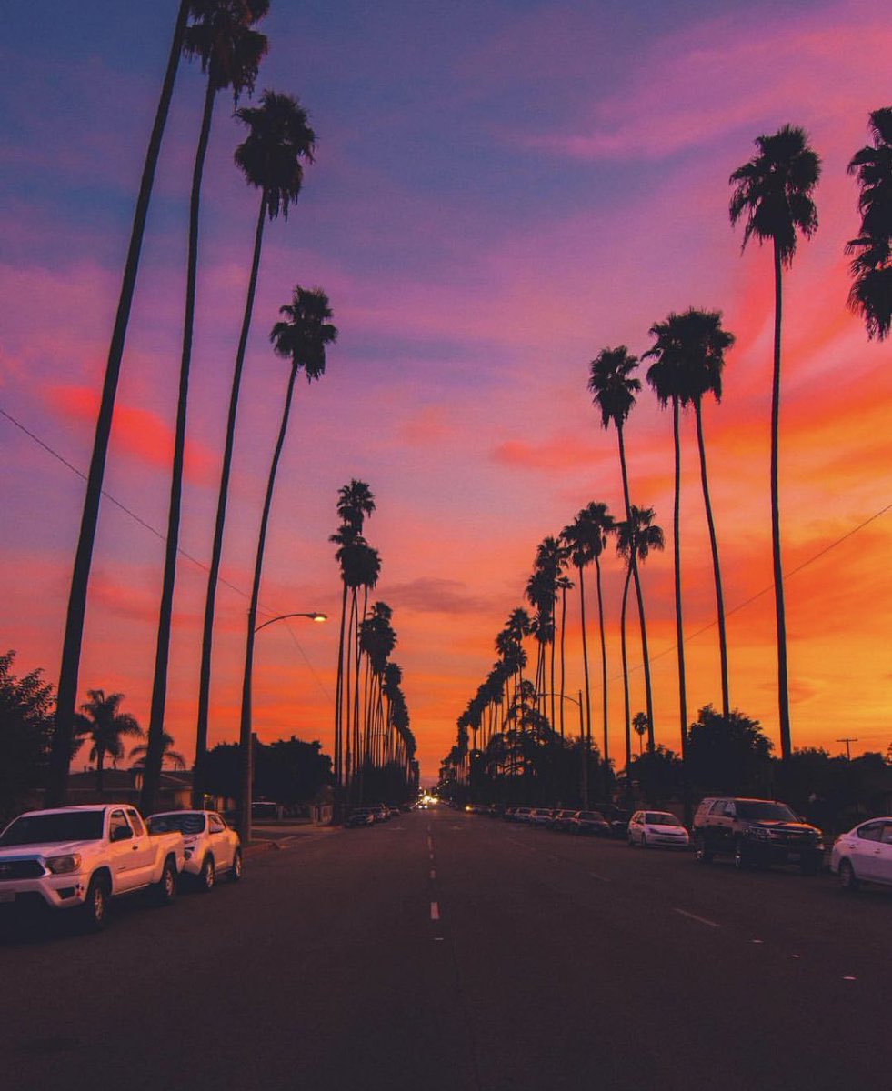 aestheticspost_'s tweet photo. Los Angeles, California https://t.co/y0EcaWUq9E