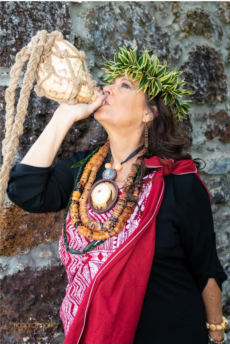 BlessMaui's tweet photo. @KHONnews A call to the world to help Maui! May the Hawaiian people be able to protect their land. https://t.co/xCqDKjYxU0