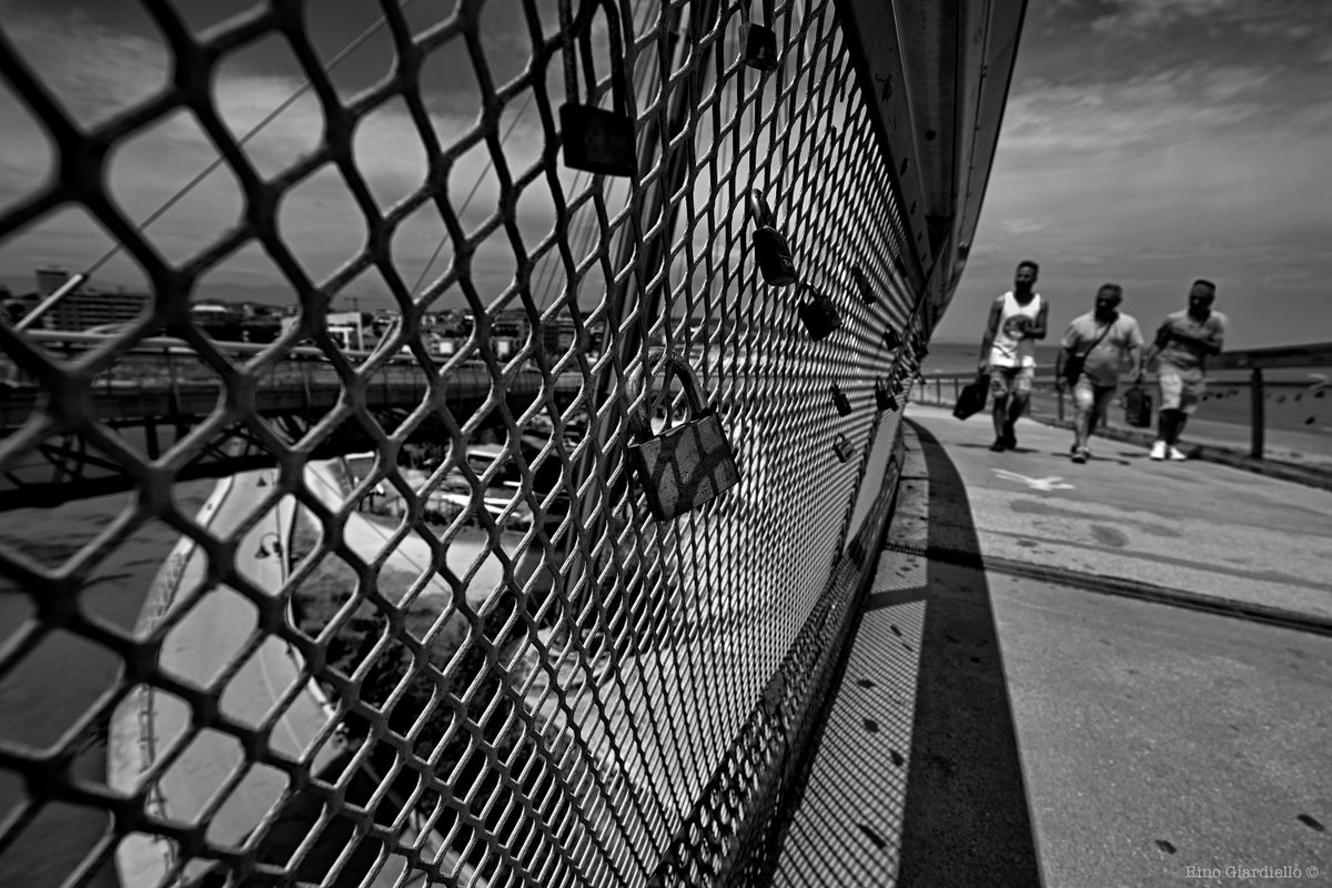 Rino Giardiello tweet media