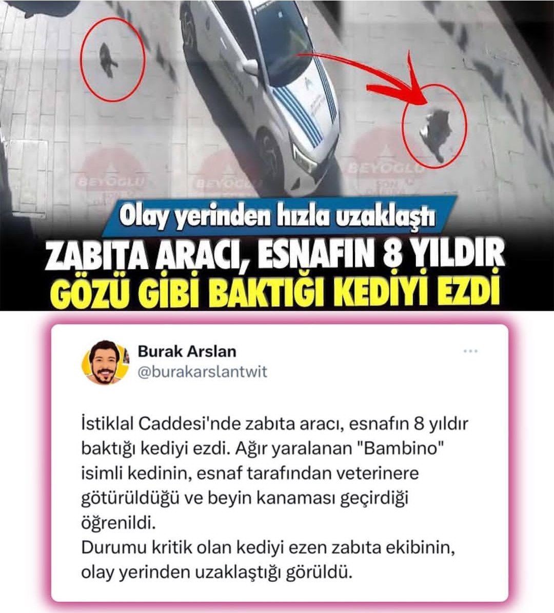 kanzgi's tweet photo. @ekrem_imamoglu @istanbulbld cevap bekliyoruz https://t.co/OELuVWVXXR