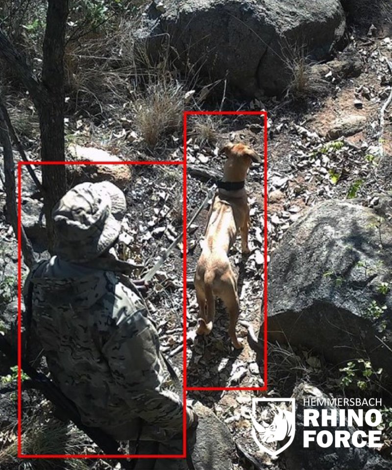 This is how one of our many trap cams captures human activity and automatically pushes an alarm to the ops room. It happens in real-time and gives us the chance to review, judge and take action if needed. Incursions into our reserves don't go unnoticed!

#hemmersbach #rhinoforce