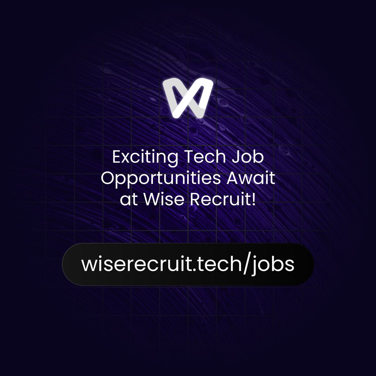 Wise Recruit tweet media