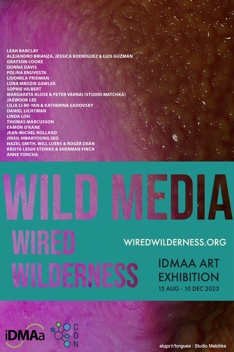 Linda Loh tweet media