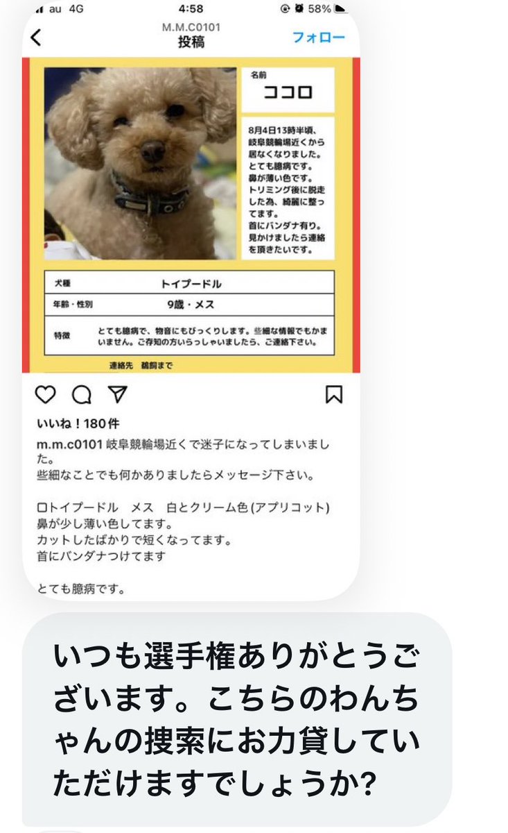 8月4日13時半ごろ、岐阜競輪場近くから居なくなりました！
迷子犬です！！拡散お願いします！！
Repost(リポスト)お願いします‼️

※Repost(リポスト)とは、旧リツイートのこと