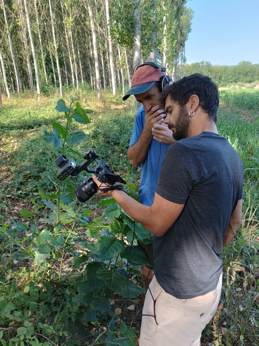 I tanmateix, n'hi continuen havent de 🌳🌻coses que🌻🌳
Capítol 18 d'aquí ben poc.
Mentrestant podeu fer-vos mecenes aquí!👇🏼👇🏿👇🏼👇🏿
les-coses-que-creixen.aixeta.cat/ca