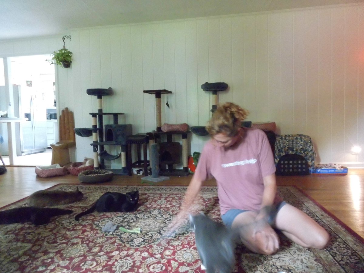 Pigpen🦁🐍 tweet media