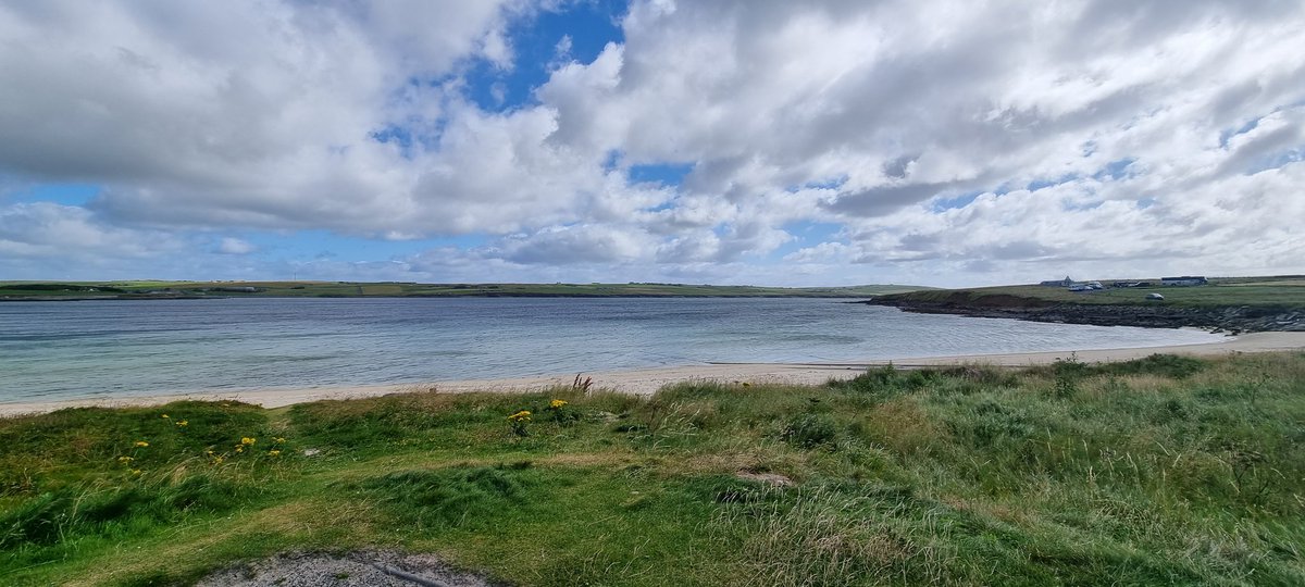 Saz Reed tweet media