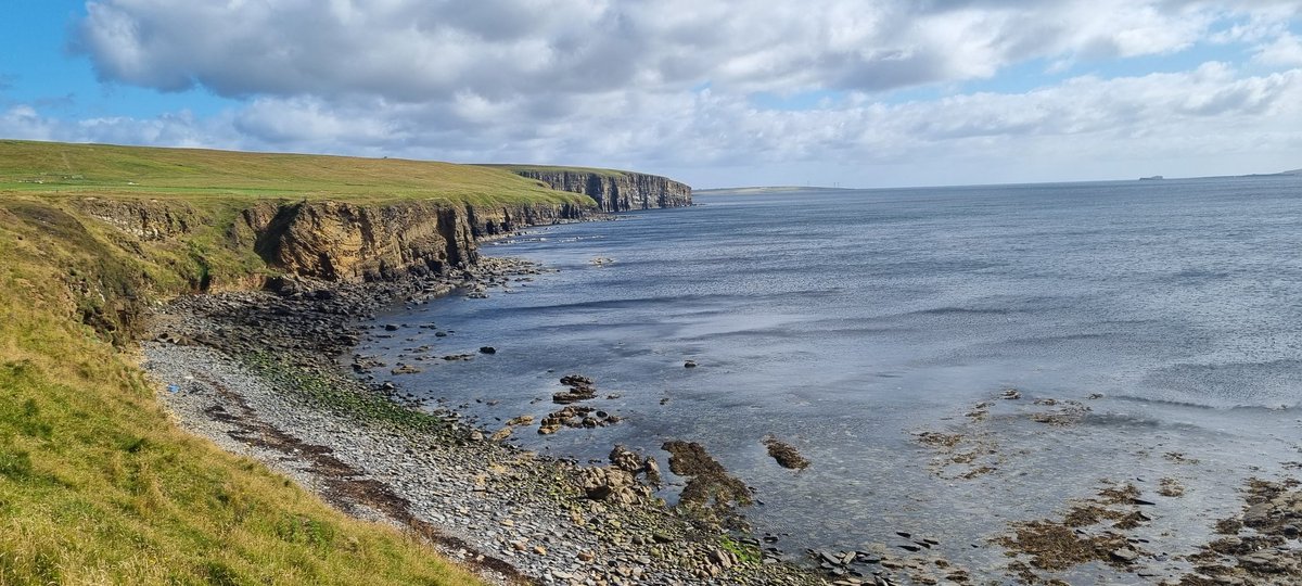 Saz Reed tweet media